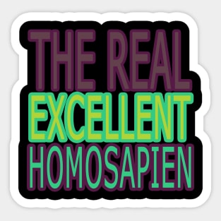 THE REAL EXCELLENT Sticker